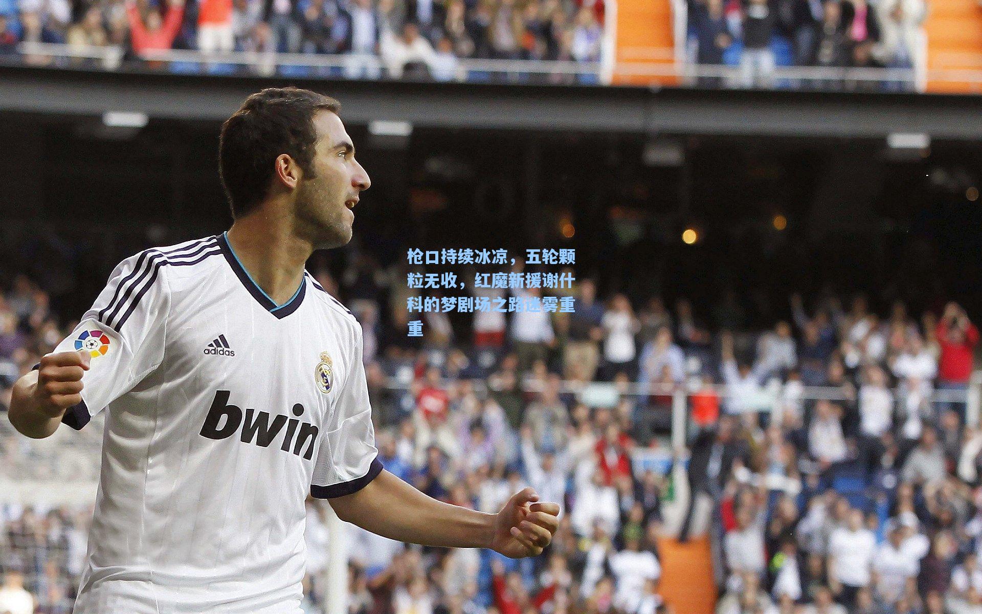 枪口持续冰凉,五轮颗粒无收,红魔新援谢什科的梦剧场之路迷雾重重